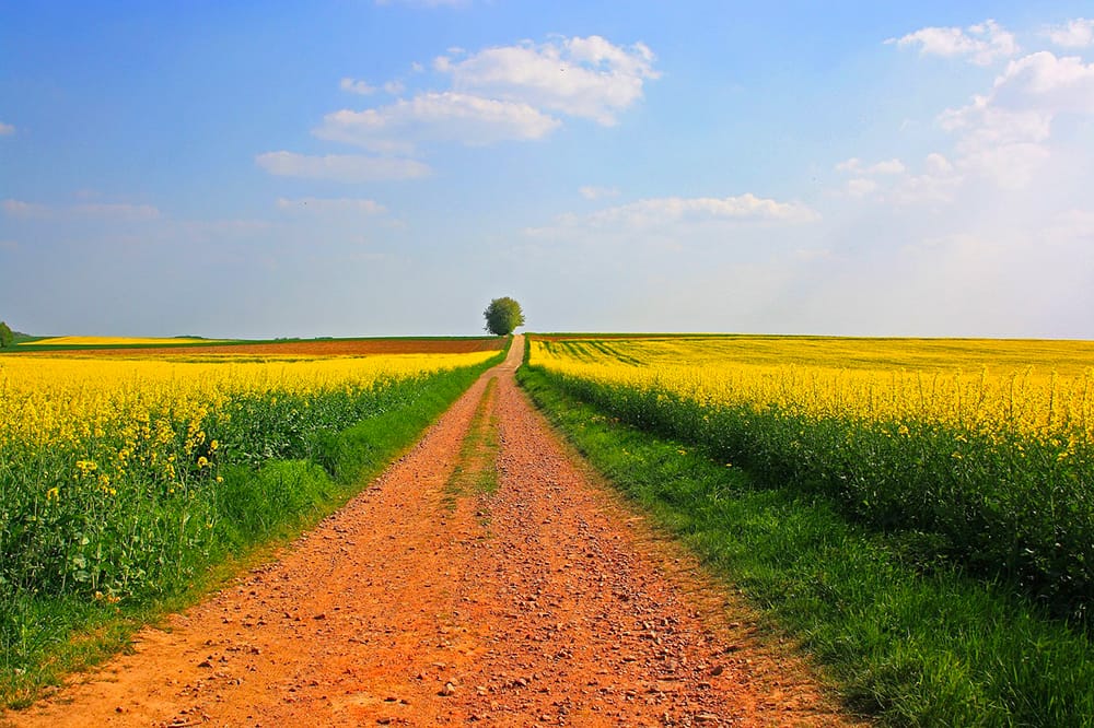 droit rural et agricole