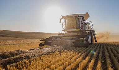 Concours des lycées agricoles 2025/2026 Concours des lycées agricoles 2025/2026