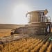 Concours des lycées agricoles 2025/2026